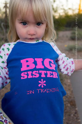 The Berry Bunch: Someone's Coming in January: The Kids Have New Shirts