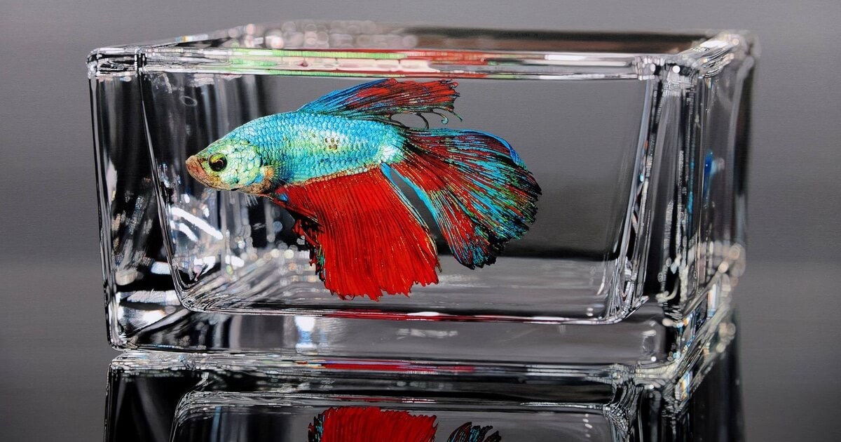 Stunning Oil Paintings Of Fish In Glass Bowls Are Examples Of Symbolism For The Contemporary World
