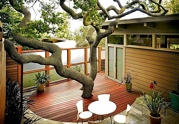 landscape ideas around decks Tree through Deck | 625 x 432