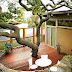 Landscape Ideas Around Decks