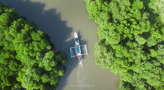 Wisata Mangrove Tanjung Peni