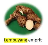 lempuyang emprit / pahiit