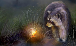 Raccoon Wallpaper