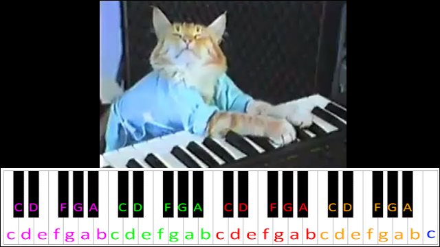 Keyboard Cat! Piano / Keyboard Easy Letter Notes for Beginners
