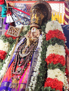 Thanga Pallakku, Thiruavathara Utsavam,1000th Birthday ,Udaiyavar ,Udayavar,Sashrabdhi Utsavam, Ramanujar,Emperumanar, Thiruvallikeni, Sri PArthasarathy Perumal, Temple, 2017, Video, Divya Prabhandam,Utsavam,