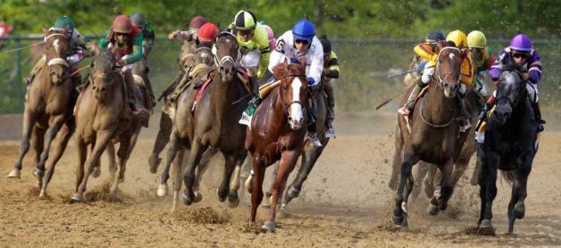 the preakness stakes 2011. 136th Preakness Stakes