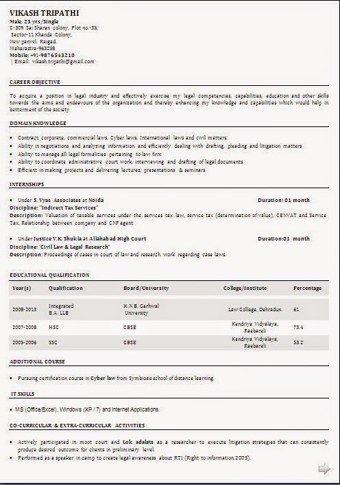 executive resume samples