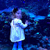 Georgia Aquarium 