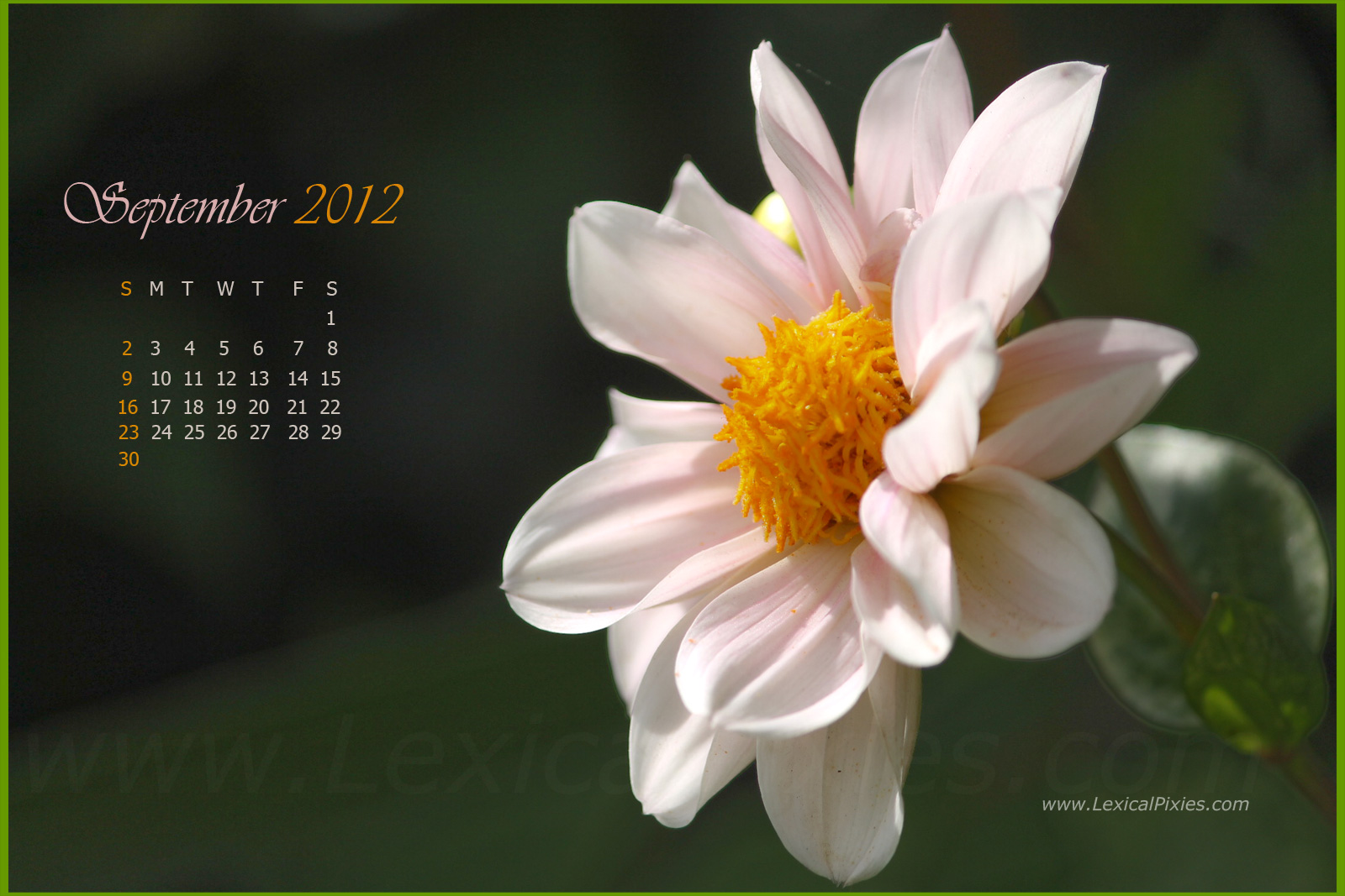 ... .lexicalpixies.com/2012/08/september-2012-floral-nature-calendar.html