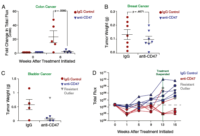 Moreover Weissman's lab found that cancer cells always had 