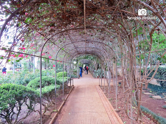 Vista ampla do "túnel de roseiras" da Casa das Rosas na Avenida Paulista