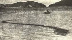 The Sea Monster of Hook Island 