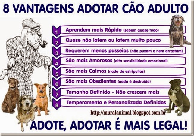 adote_adotarlegal