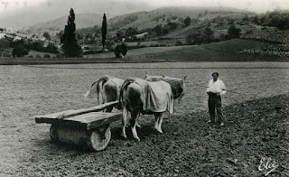 pays basque autrefois