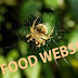 Food Webs in Adams County