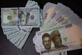 CBN takes action against speculators and hoarders of dollars amid the depreciation of the naira.