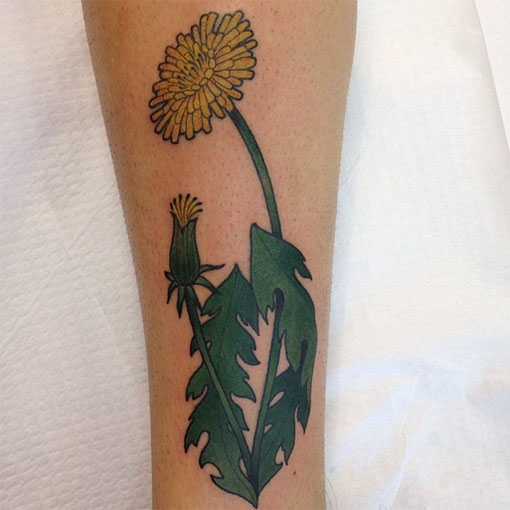 The Dandelion Tattoo Picture is Courtesy of Kit and Ian