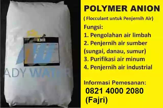 jual polimer anion polimer kation