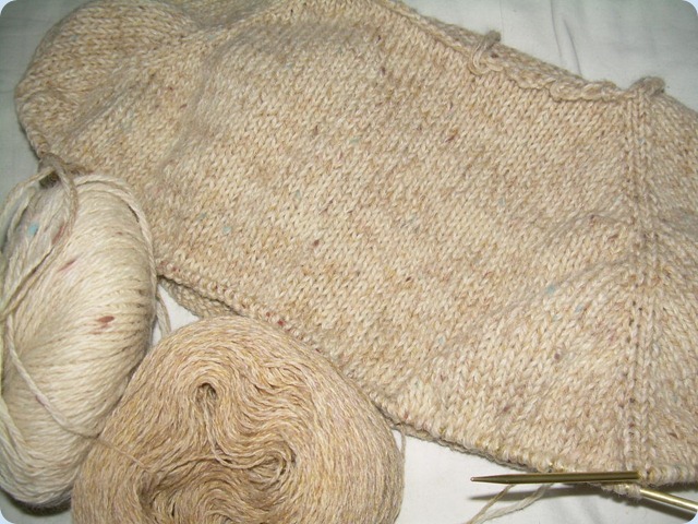 DSCN4789_resize