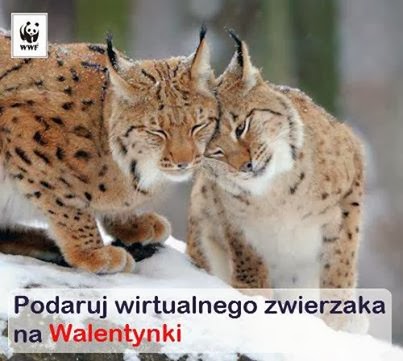 http://kupzwierzaka.wwf.pl/