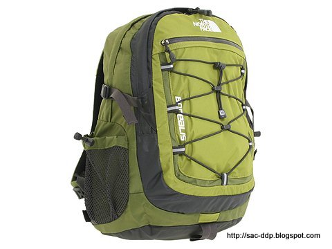 Sac ddp:sac-1273017