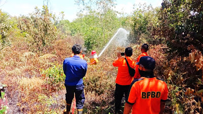 Waspada Musim Panas! Kebakaran Lahan Siang Ini Kembali Terjadi di Salo