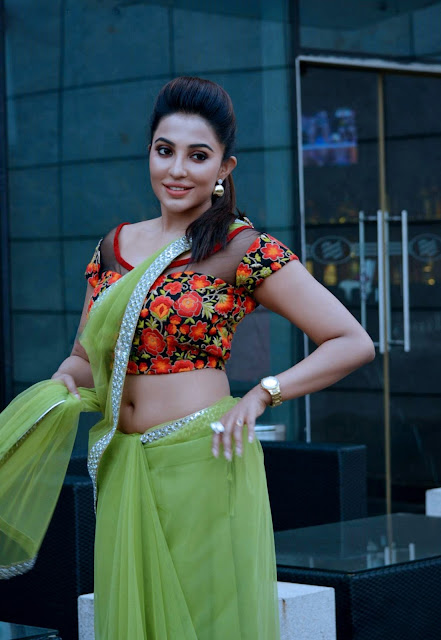 South actress parvathi nair spicy navel pics in saree