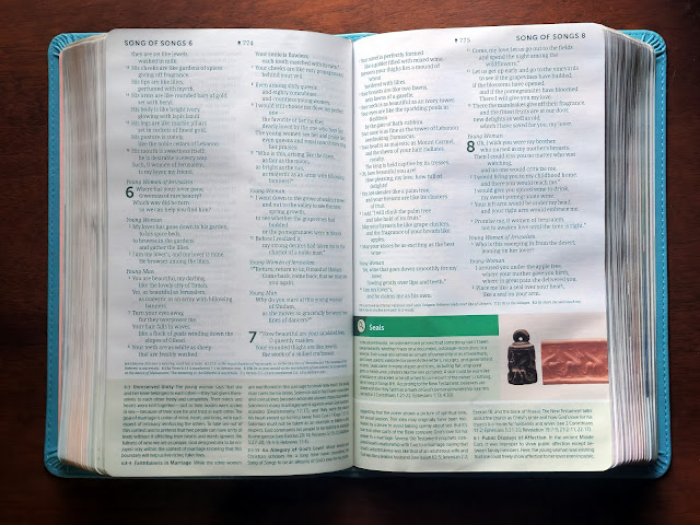 Decoding the Scripture: The NLT Student Life Application Study Bible Delivers