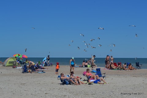 Idiot feeding the seagulls