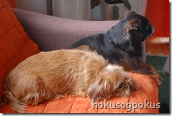 Bilder 281