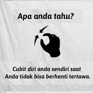 Fakta unik