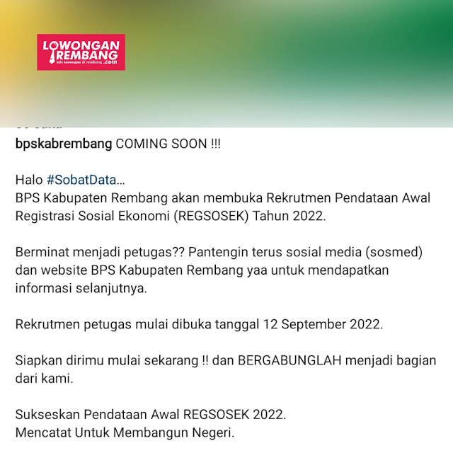 Segera Dibuka Lowongan Kerja Pegawai REGSOSES 2022 Dinas Badan Pusat Statistik Rembang