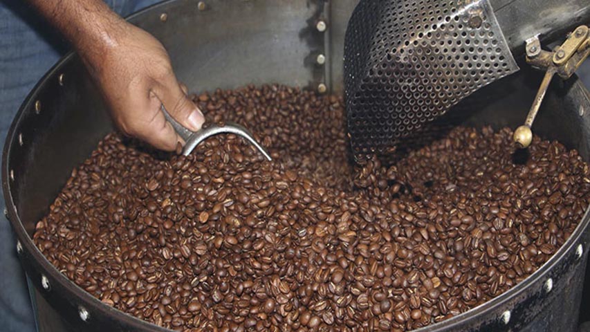 Producción de café incrementó 15% durante 2022