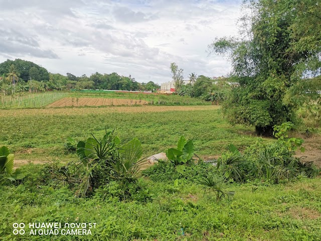 Commercial Lot For Sale  in Consolacion Cebu Philippines