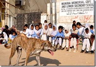 muniba-january-30-2013