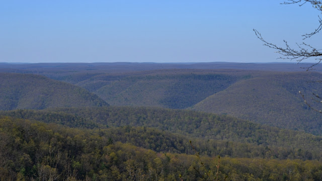 Allegheny Plateau from Kendig Vista