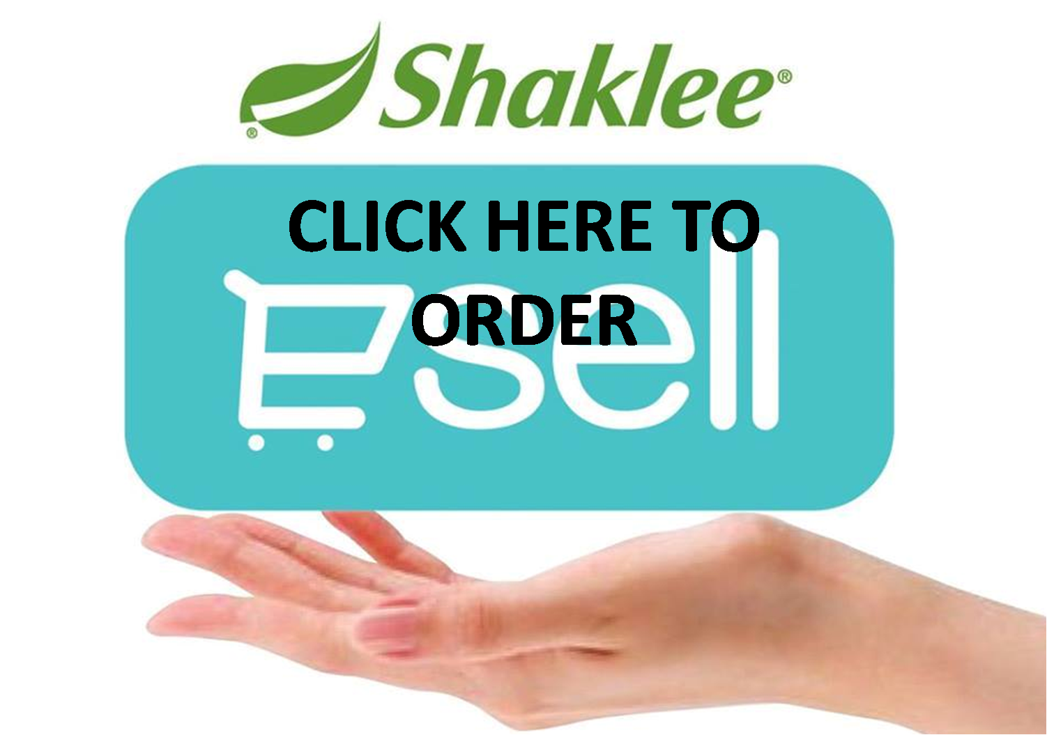 https://www.shaklee2u.com.my/widget/widget_agreement.php?session_id=&enc_widget_id=b64bdf76ab9e818a9374f1a926e8663c