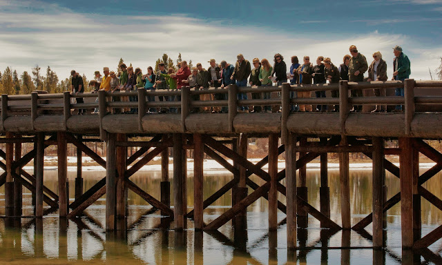 Image of the historic Fishing Bridge in Yellowstone National Park, United States.