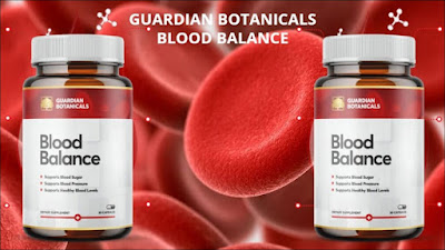 Blood Balance Reviews Scam or Should You Buy?