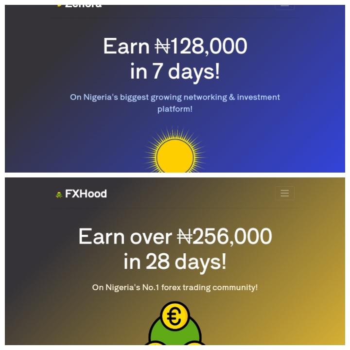 Make #256,000 naira in 28 days!!  Zenora platform is back, FXHOOD is the new zenora platform, Join Fxhood now!