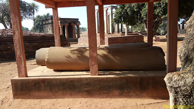 Ashoka Pillar