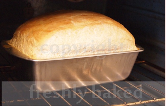 freshlebaked