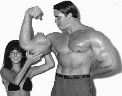 arnold schwarzenegger workout wallpapers. arnold schwarzenegger workout