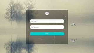 transparent login form