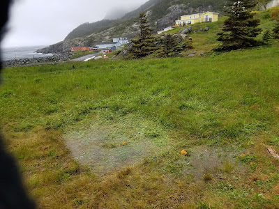 Wet camp site and puddle under tent in grassy field.