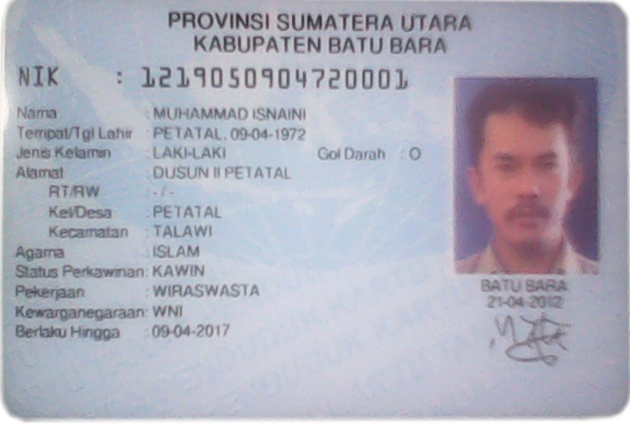 Usaha Bibit Sawit dan Bibit Karet Juni 2013