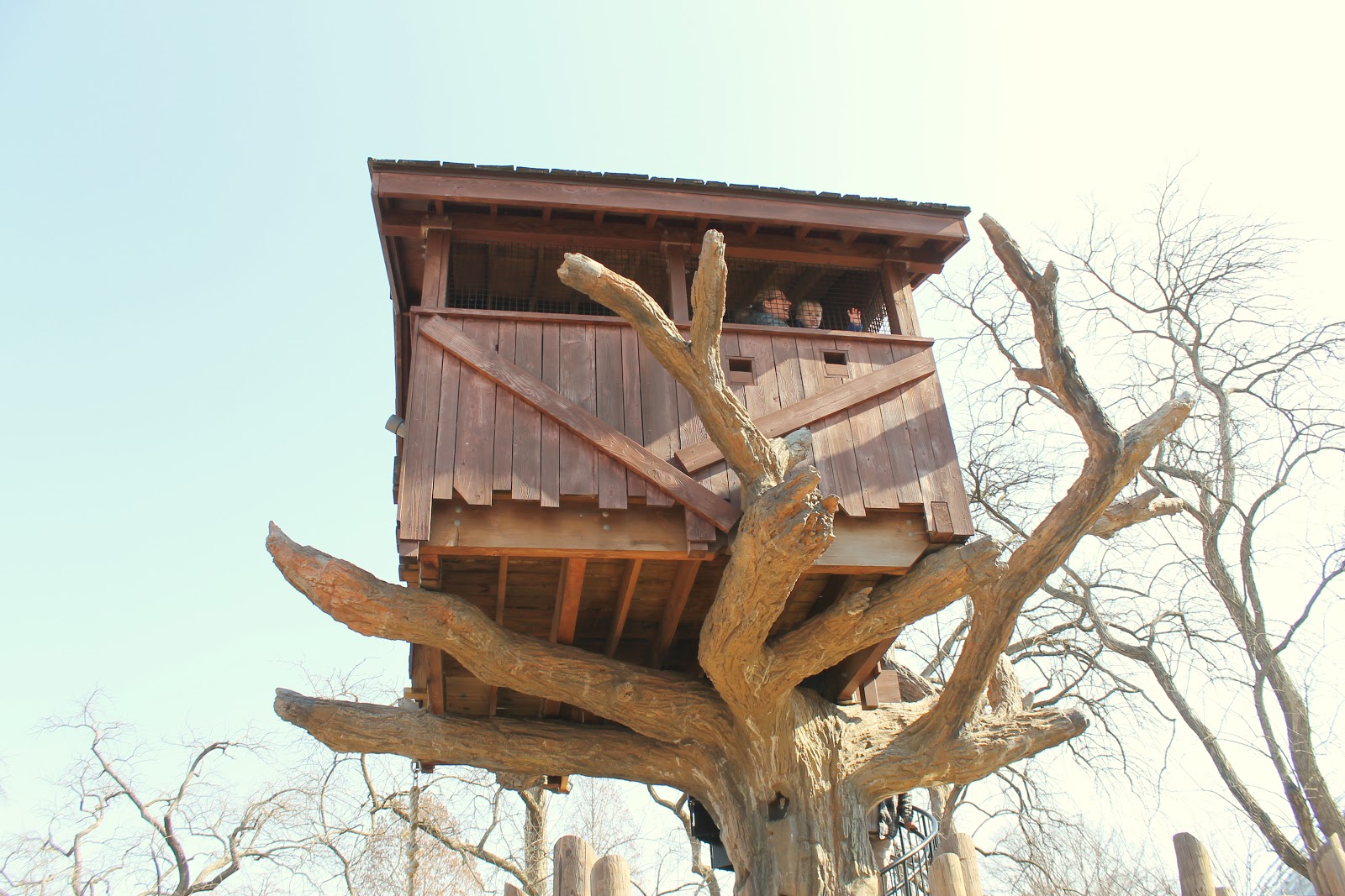 children's treehouse plans