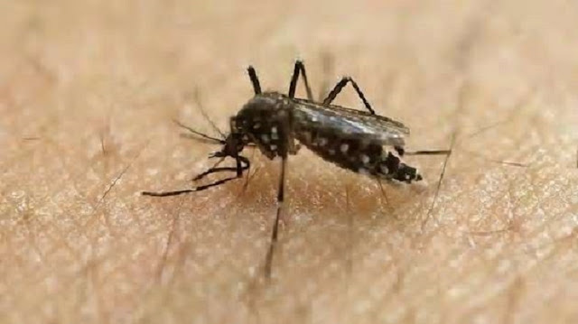 Zika Virus Spreading quickly in India