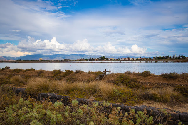 Parco naturale Molentargius-Saline-Cagliari