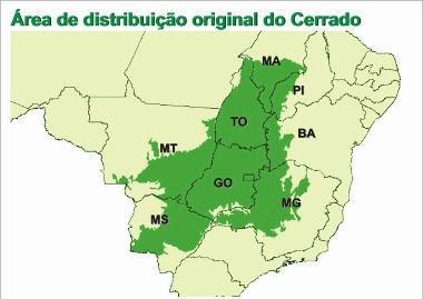 Imagem relacionada